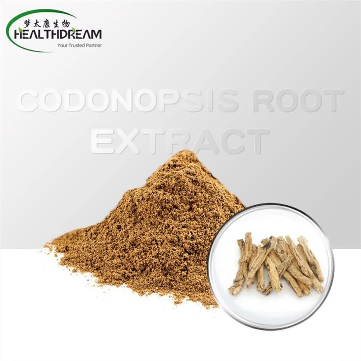 এনোকি মাশরুম এক্সট্রাক্ট